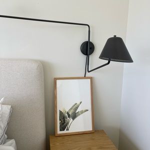 Birds of paradise wall art print with frame